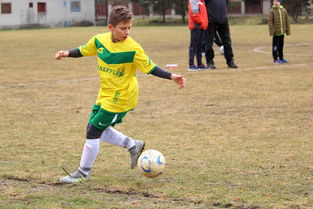 米乐体育网站-西悉尼流浪者伤病恢复进展顺利，期待发挥