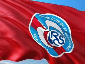 米乐官网登录-帕尔梅拉斯球员训练强度加大，力求最佳竞技状态