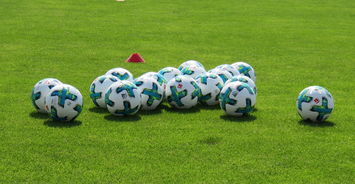 米乐官网入口-慕尼黑1860意外失利，德甲之路遭受挫折，慕尼黑1860官网