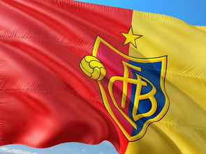 米乐体育直播-瑞士中场球员受伤下场，影响球队战术部署，瑞士中场球员受伤下场,影响球队战术部署吗